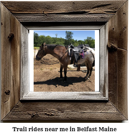 trail rides near me in Belfast, Maine